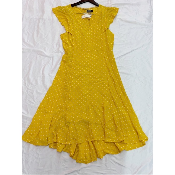 ANTHROPOLOGIE Caroline Flutter Dress Polka Dot 14 - Picture 4 of 8